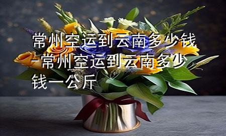常州空运到云南多少钱-常州空运到云南多少钱一公斤