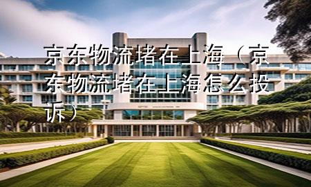 京东物流堵在上海（京东物流堵在上海怎么投诉）