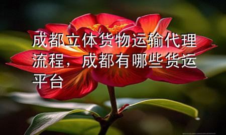 成都立体货物运输代理流程，成都有哪些货运平台