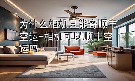 为什么相机只能寄顺丰空运-相机可以顺丰空运吗