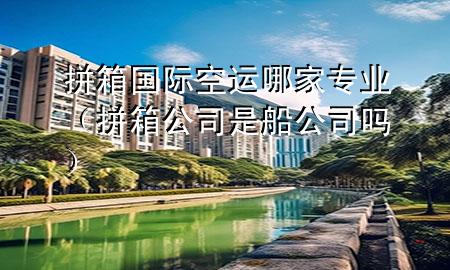 拼箱国际空运哪家专业（拼箱公司是船公司吗）