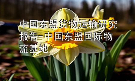 中国东盟货物运输研究报告-中国东盟国际物流基地