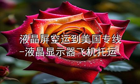 液晶屏空运到美国专线-液晶显示器飞机托运