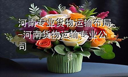 河南专业货物运输布局-河南货物运输专业公司