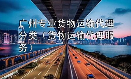广州专业货物运输代理分类（货物运输代理服务）