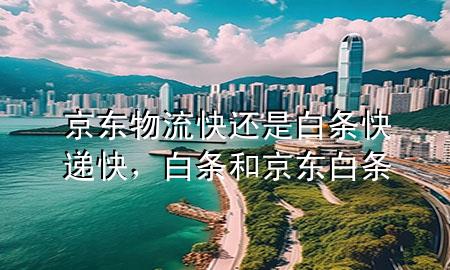 京东物流快还是白条快递快，白条和京东白条