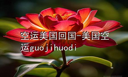 空运美国回国-美国空运guojihuodi