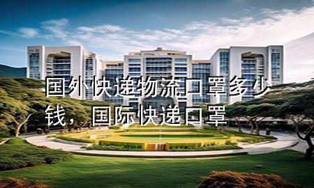 国外快递物流口罩多少钱，国际快递口罩
