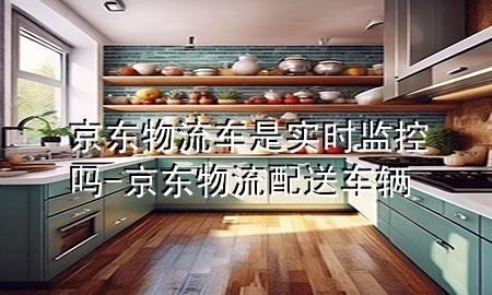 京东物流车是实时监控吗-京东物流配送车辆