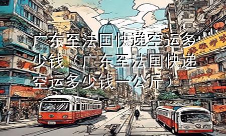 广东至法国快递空运多少钱（广东至法国快递空运多少钱一公斤）