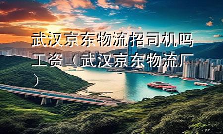 武汉京东物流招司机吗工资（武汉京东物流厂）