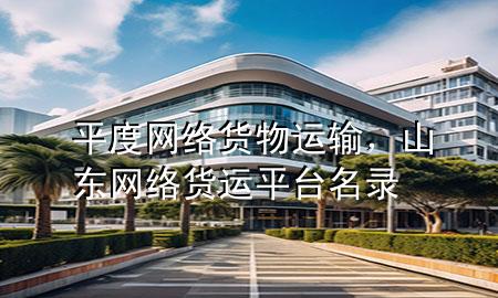 平度网络货物运输，山东网络货运平台名录