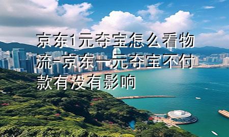 京东1元夺宝怎么看物流-京东一元夺宝不付款有没有影响