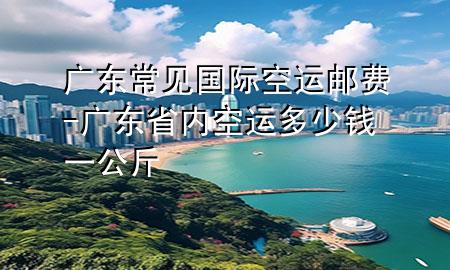 广东常见国际空运邮费-广东省内空运多少钱一公斤