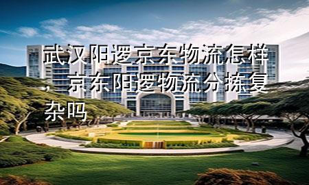 武汉阳逻京东物流怎样,京东阳逻物流分拣复杂吗