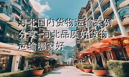 河北国内货物运输案例分享-河北品质好货物运输哪家好