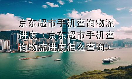 京东超市手机查询物流进度(京东超市手机查询物流进度怎么查询)