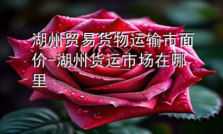 湖州贸易货物运输市面价-湖州货运市场在哪里