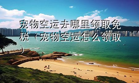 宠物空运去哪里领取免税（宠物空运怎么领取）