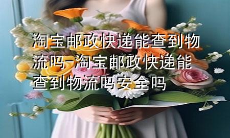 淘宝邮政快递能查到物流吗-淘宝邮政快递能查到物流吗安全吗