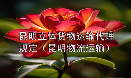 昆明立体货物运输代理规定(昆明物流运输)