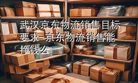 武汉京东物流销售目标要求-京东物流销售能挣钱么