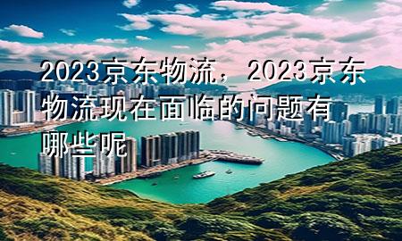 2023京东物流,2023京东物流现在面临的问题有哪些呢