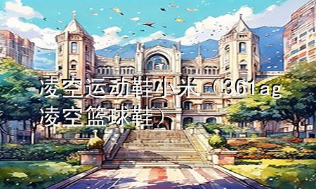 凌空运动鞋小米（361ag凌空篮球鞋）