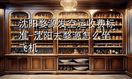 沈阳婺源发空运收费标准-沈阳去婺源怎么坐飞机