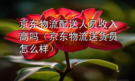京东物流配送人员收入高吗(京东物流送货员怎么样)