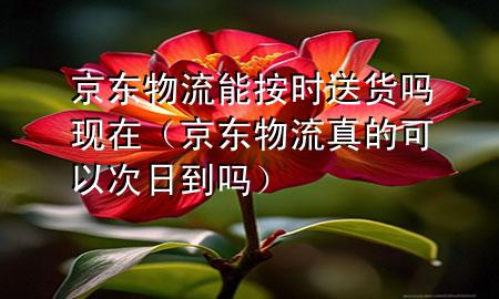 京东物流能按时送货吗现在（京东物流真的可以次日到吗）