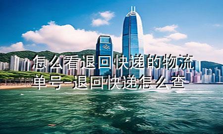 怎么看退回快递的物流单号-退回快递怎么查