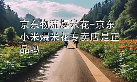 京东物流爆米花-京东小米爆米花专卖店是正品吗
