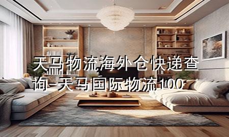 天马物流海外仓快递查询-天马国际物流100