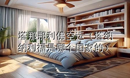 塔那那利佛空运（塔纳纳利福是哪个国家的）