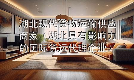 湖北现代货物运输供应商家(湖北具有影响力的国际货运代理企业)
