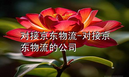 对接京东物流-对接京东物流的公司