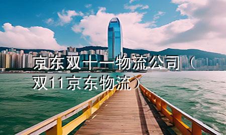 京东双十一物流公司(双11京东物流)