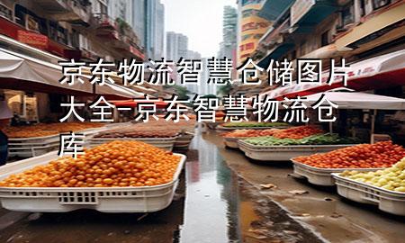 京东物流智慧仓储图片大全-京东智慧物流仓库