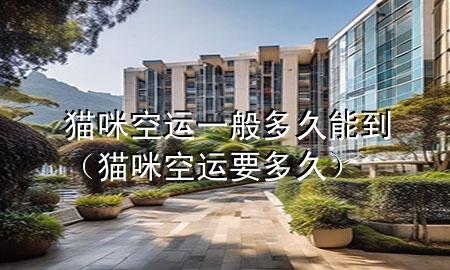 猫咪空运一般多久能到（猫咪空运要多久）