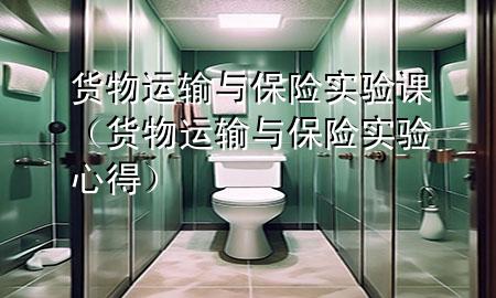 货物运输与保险实验课（货物运输与保险实验心得）