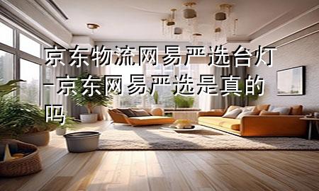 京东物流网易严选台灯-京东网易严选是真的吗