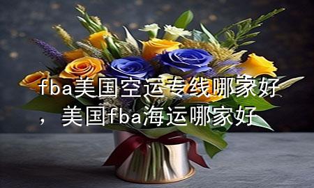 fba美国空运专线哪家好,美国fba海运哪家好