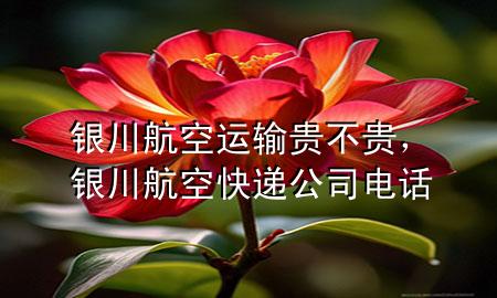 银川航空运输贵不贵，银川航空快递公司电话