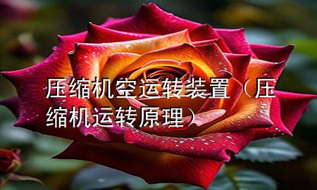 压缩机空运转装置（压缩机运转原理）