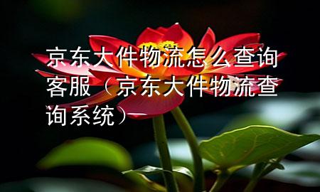 京东大件物流怎么查询客服(京东大件物流查询系统)