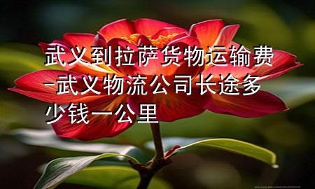 武义到拉萨货物运输费-武义物流公司长途多少钱一公里