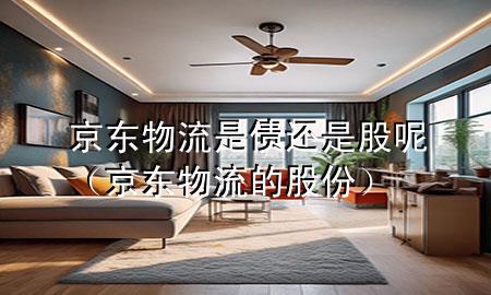 京东物流是债还是股呢(京东物流的股份)