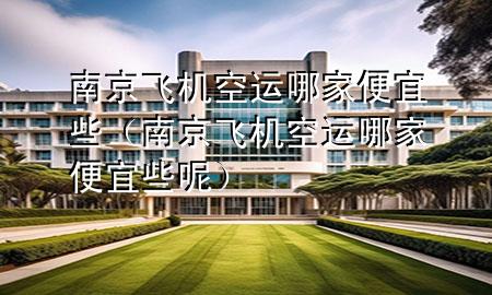 南京飞机空运哪家便宜些(南京飞机空运哪家便宜些呢)