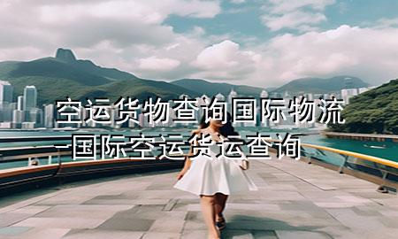 空运货物查询国际物流-国际空运货运查询